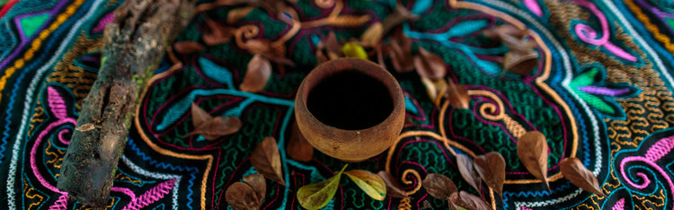 ayahuasca banner